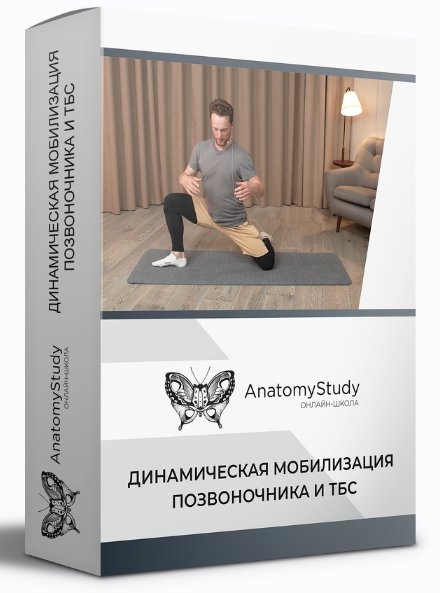 [Вадим Балюк] [Анатомия] Динамическая мобилизация _0.png